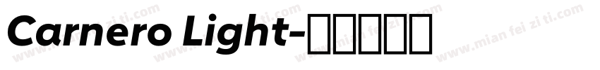 Carnero Light字体转换